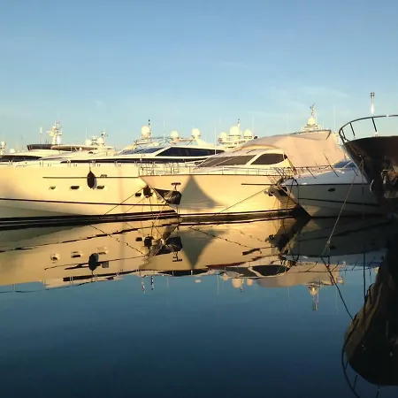 Vieil Superbe / Habitant * Antibes